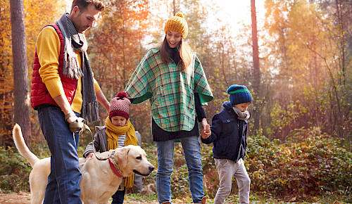 Poolhaus mit Ostseeblick, Ferienwohnung, Wittenbeck, Wandern