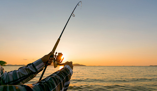 Poolhaus mit Ostseeblick, Ferienwohnung, Wittenbeck, Anglen