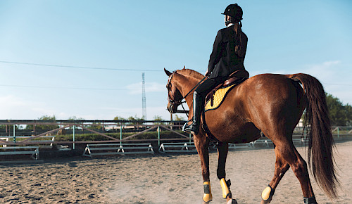 Poolhaus mit Ostseeblick, Ferienwohnung, Wittenbeck, Reiten